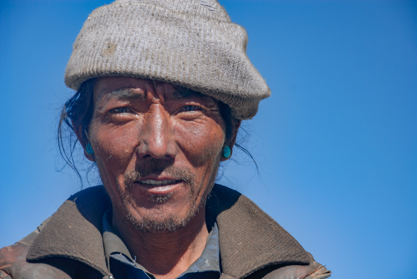 Tibetan Yak Herder